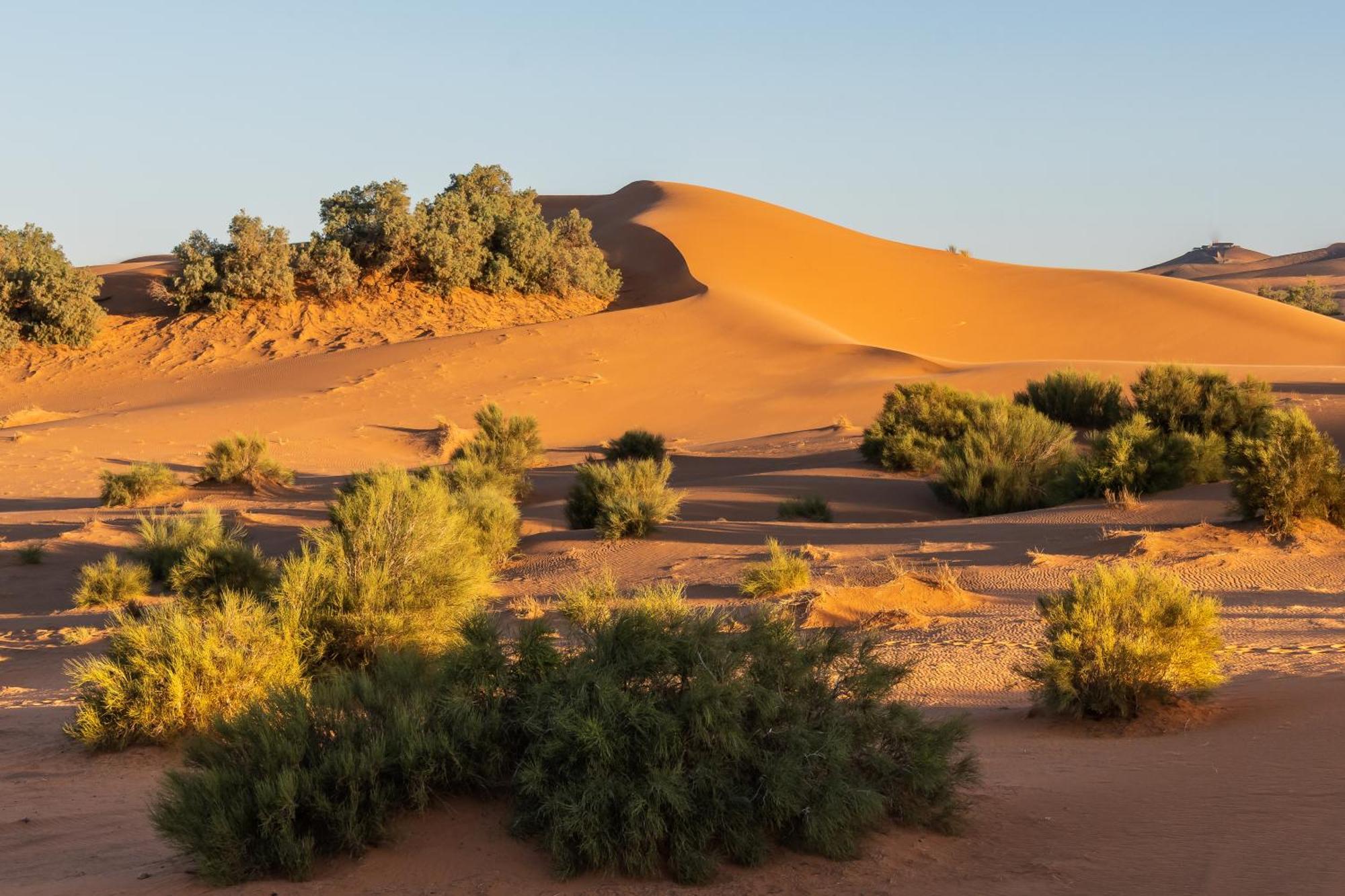 Dihya Desert Camp Hotel Merzouga Exterior photo